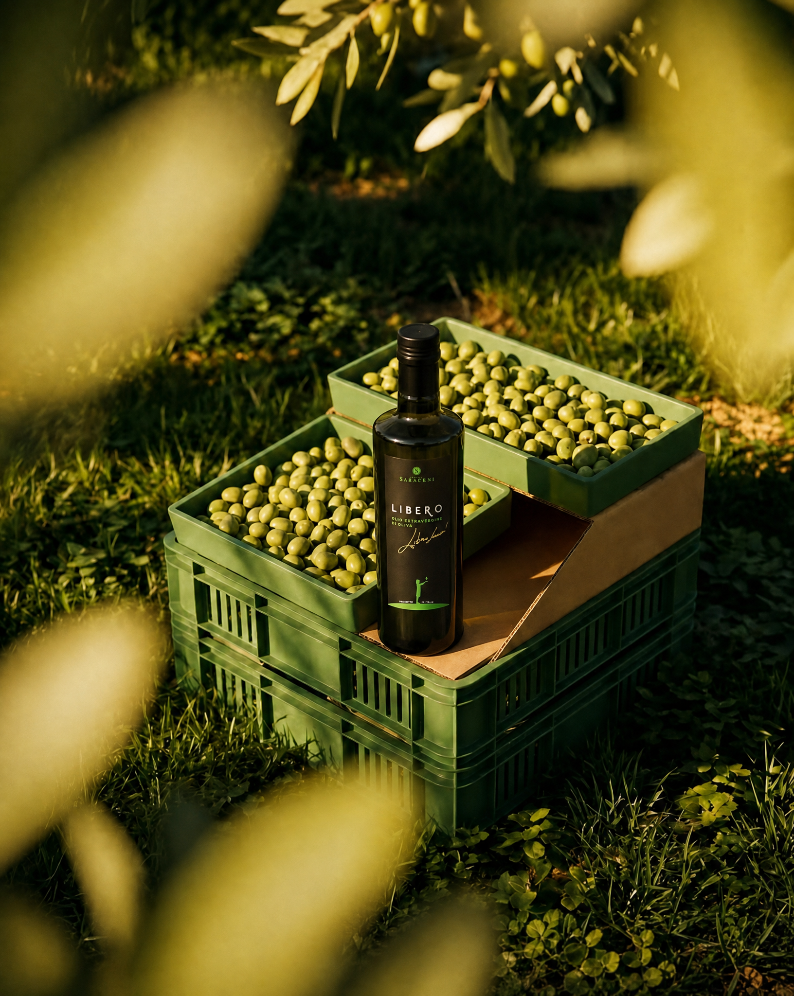 Libero EVOO — bright green extra virgin olive oil, cold-pressed and polyphenol rich, 500ml, Saraceni Wines (vineyard/origin shot)